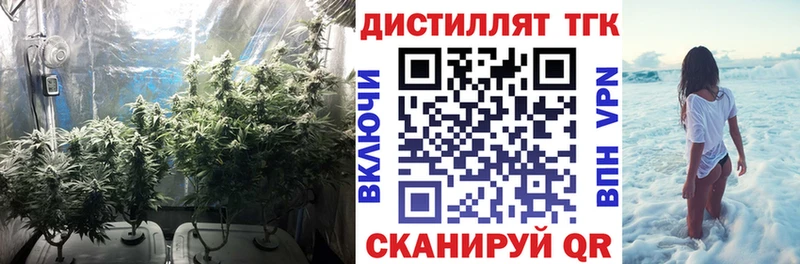 ТГК THC oil  Урень 