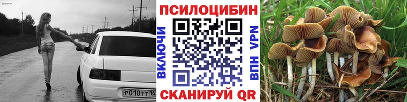 Псилоцибиновые грибы Cubensis  купить закладку  Урень 